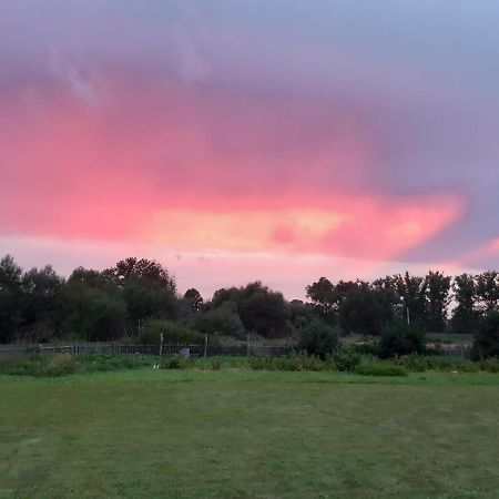 Agroturystyka Tam Gdzie Sosny Scinawka Dolna Экстерьер фото