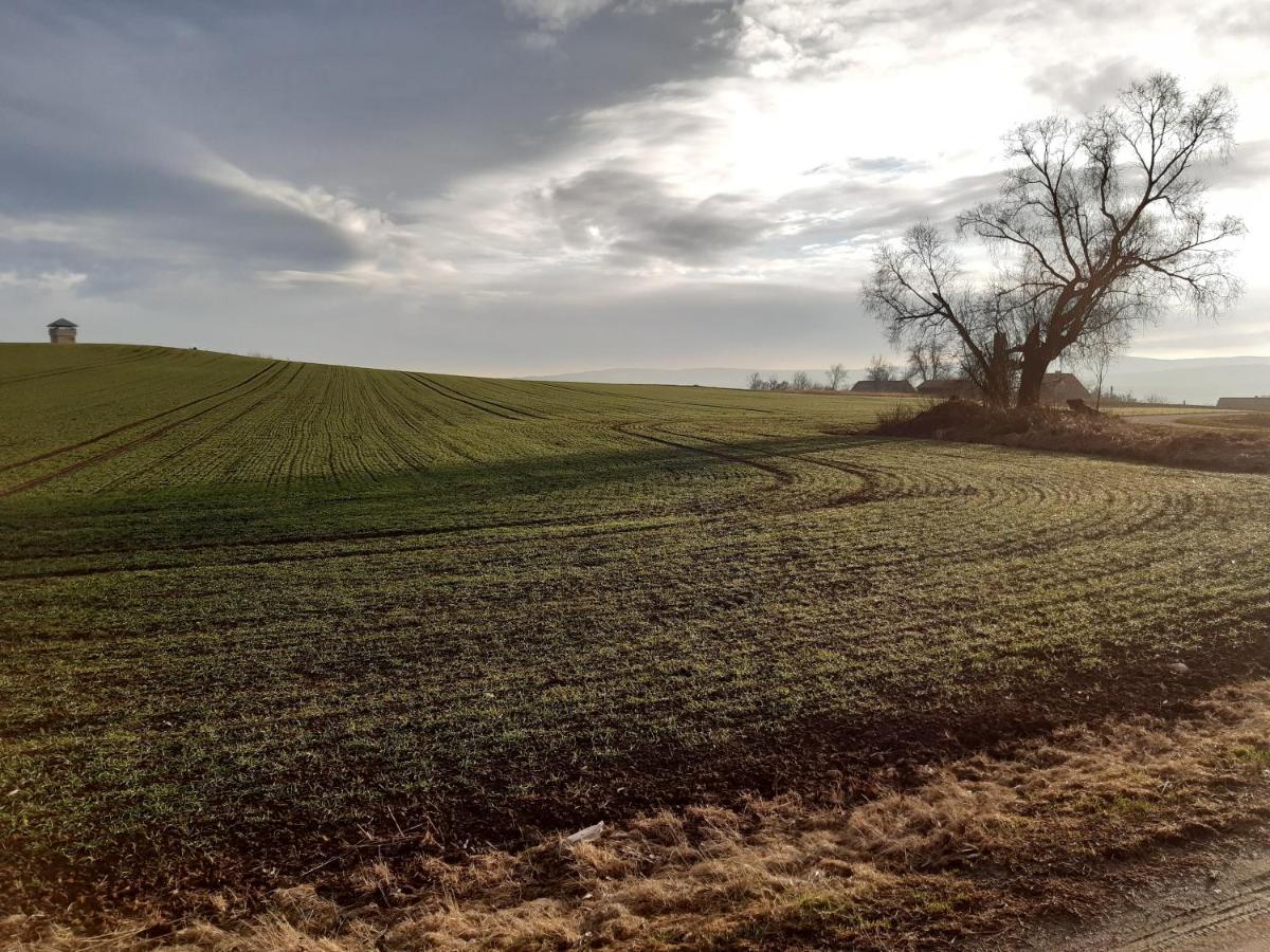 Agroturystyka Tam Gdzie Sosny Scinawka Dolna Экстерьер фото