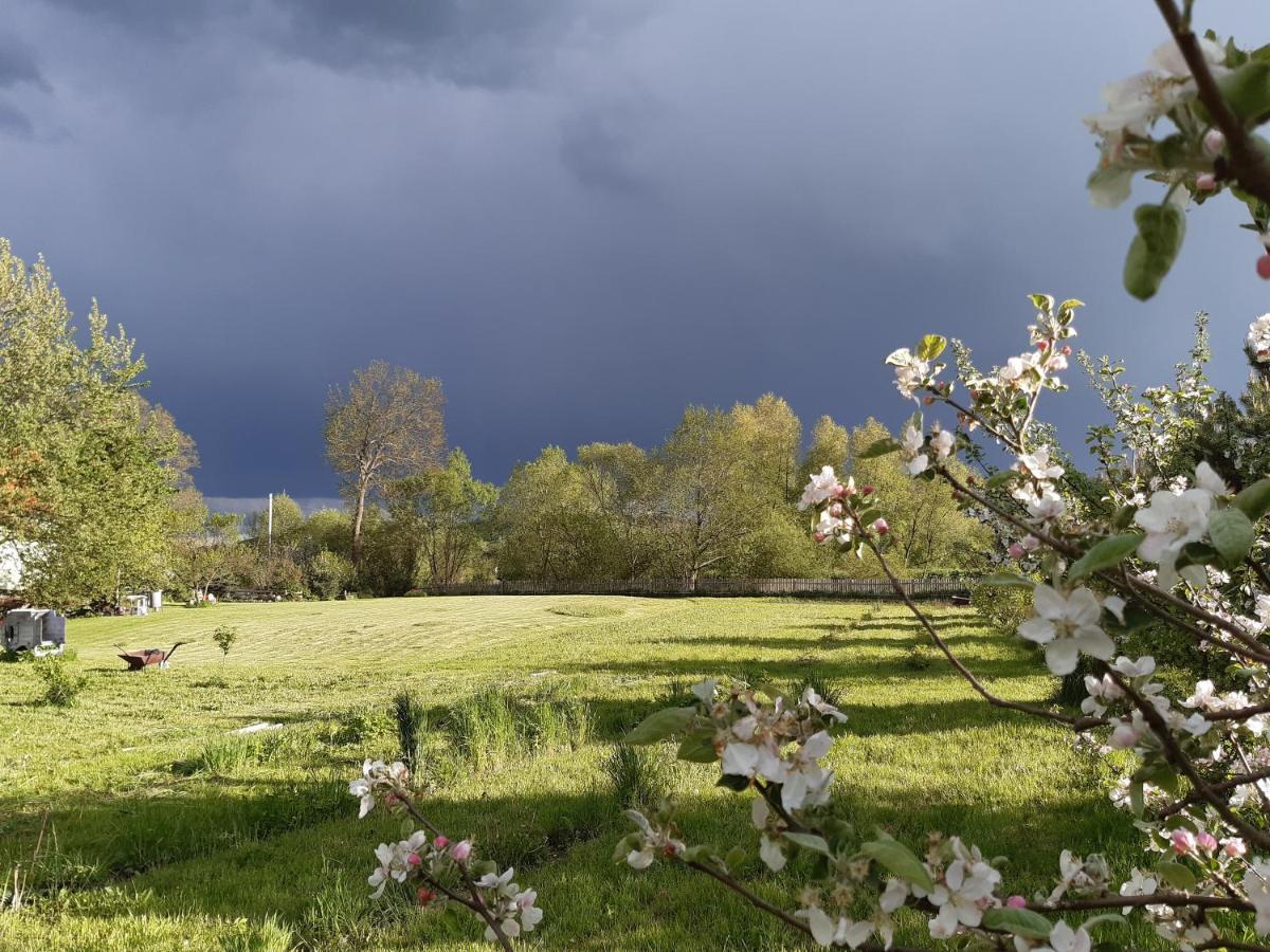Agroturystyka Tam Gdzie Sosny Scinawka Dolna Экстерьер фото