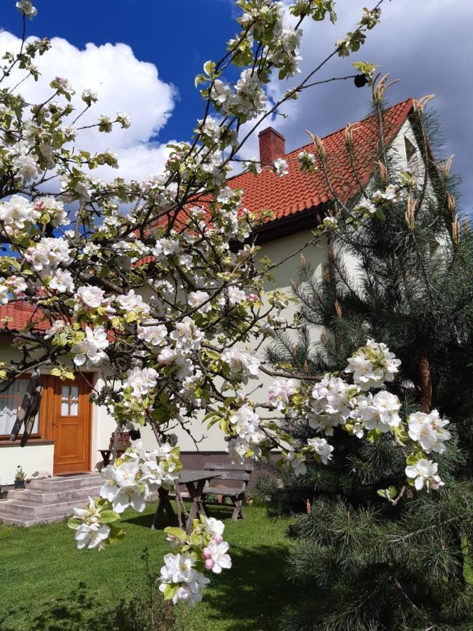 Agroturystyka Tam Gdzie Sosny Scinawka Dolna Экстерьер фото