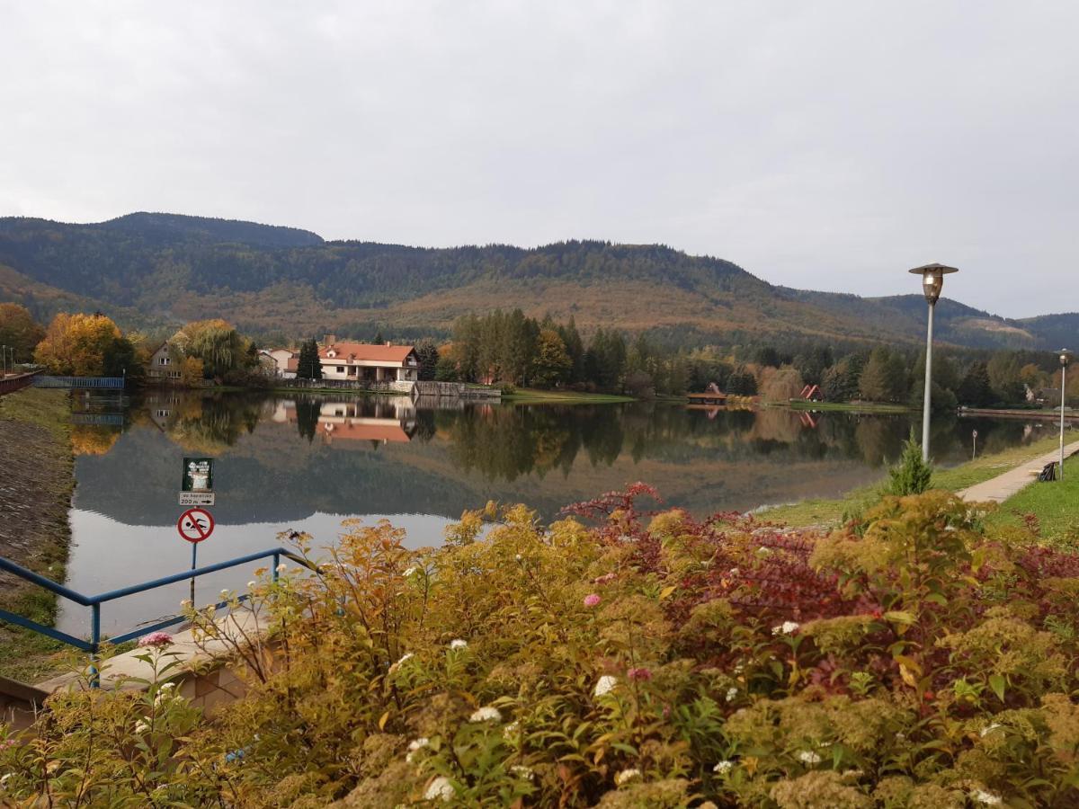 Agroturystyka Tam Gdzie Sosny Scinawka Dolna Экстерьер фото